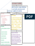 Los Procesos Digestivos