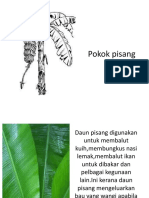 Pokok Pisang