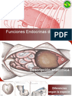 Funciones Endocrinas Del Hígado