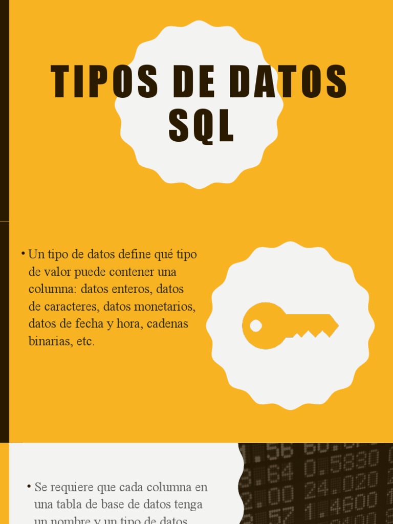 Tipos de datos SQL | PDF