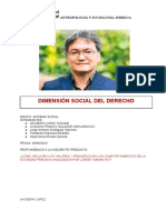 DIMENSIÓN SOCIAL DEL DERECHO-Grupo Sistema Soacil-06-05-2022