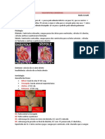 Aula 5- Valvopatias Cardíacas