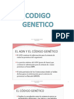 Sintesis de Proteinas - BIOQ