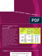 Duplicacion Adn-Bioq