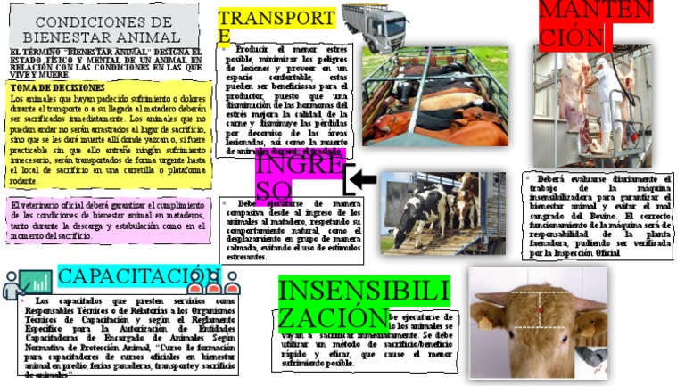 Condiciones de Bienestar Animal | PDF | Bienestar de los animales ...