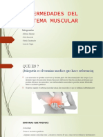 Enfermedades Del Sistema Muscular