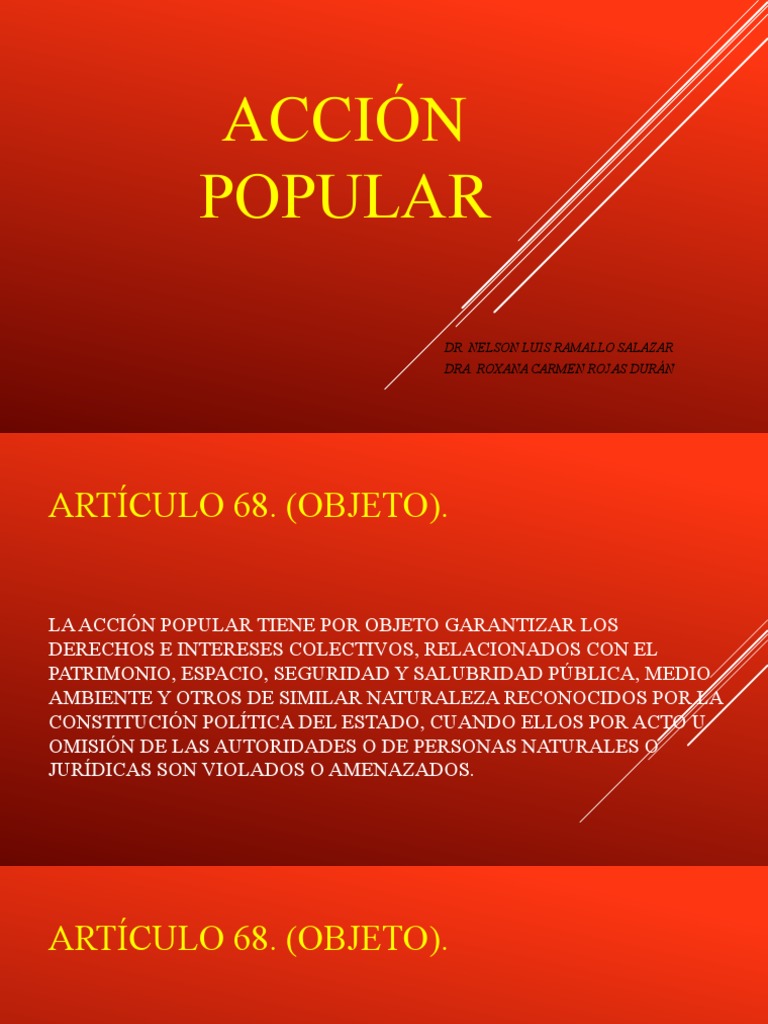 Acción Popular PDF