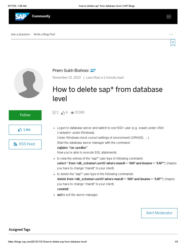 Deleting SAP Users from Database | PDF