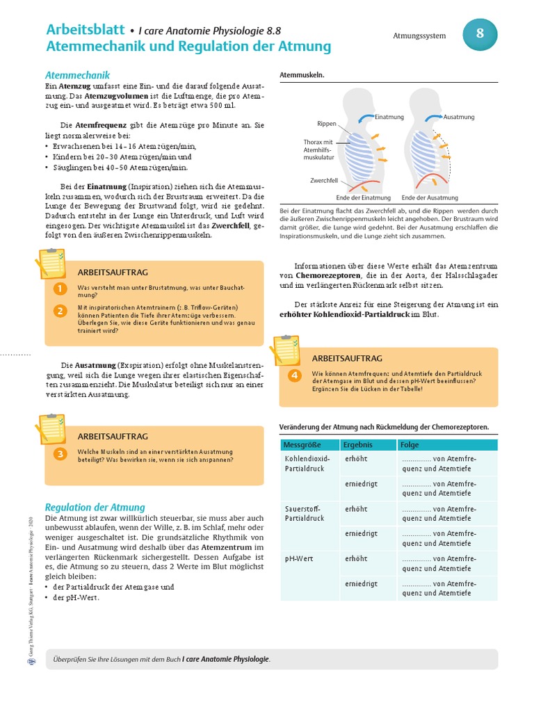 I Care | PDF