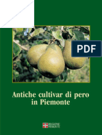 antiche_cultivar_di_pero