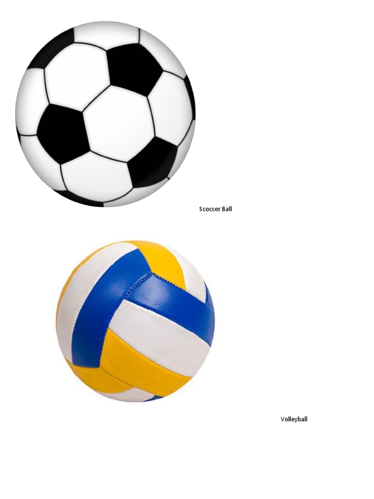 Types of Sports Balls Explained | PDF | Sports & Recreation