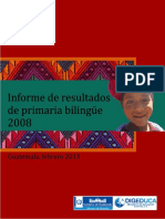 Informe Primaria Bilingue 2008