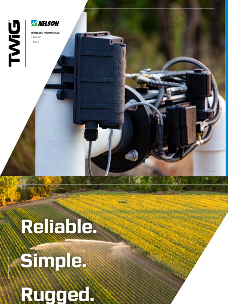 NELSON TWIG Brochure 03219 102920 | PDF | Wireless | Radio