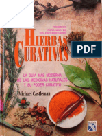 Hierbas curativas