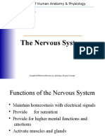 Nervous System