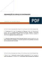 Aula 3 - Habilidades - ORGANIZACAO DO SERVICO DE ENFERMAGEM