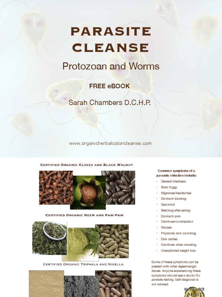 Parasite Cleanse: Protozoa & Worms Guide | PDF | Parasitism | Diarrhea
