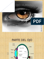 El Ojo Humano