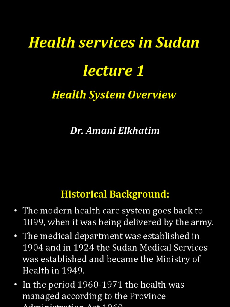 Health Services in Sudan | PDF | Health System | Millennium Development