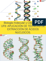 BMCG UF8 Aplicación de Técnicas de Extracción de Ácidos Nucleicos