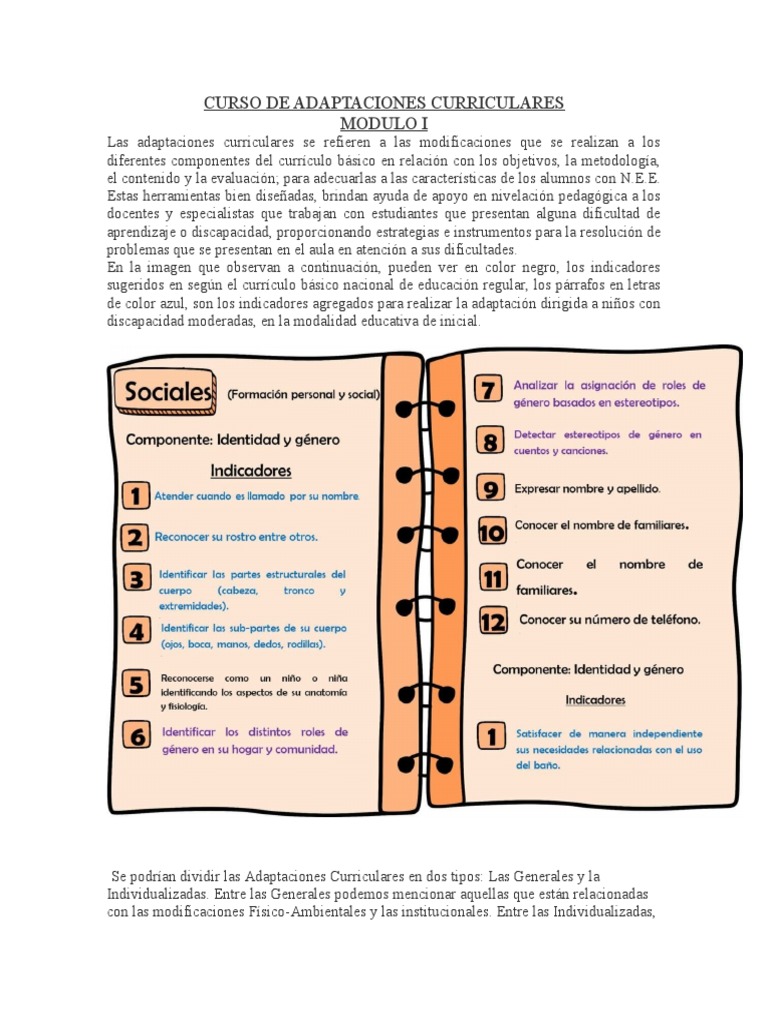 Curso de Adaptaciones Curriculares | PDF | Plan de estudios | Invalidez
