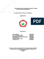 Laporan PKL III RSD IDAMAN