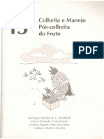 13.-Colheita-e-Manejo-Pos-colheita-do-Fruto0001