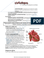 Fibra Rapida y Lenta Propiedades Miocardio