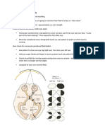 Optho Workshop One Visual Fields Examination 2020