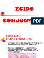 TECIDO CONJUNTIVO - Cópia