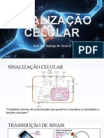 7 - Sinalização Celular
