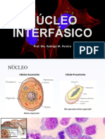 8 - Núcleo Interfásico