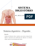 Aula 9 - Sistema Digestório