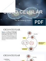 9 - Ciclo Celular