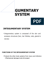 Integumentary System