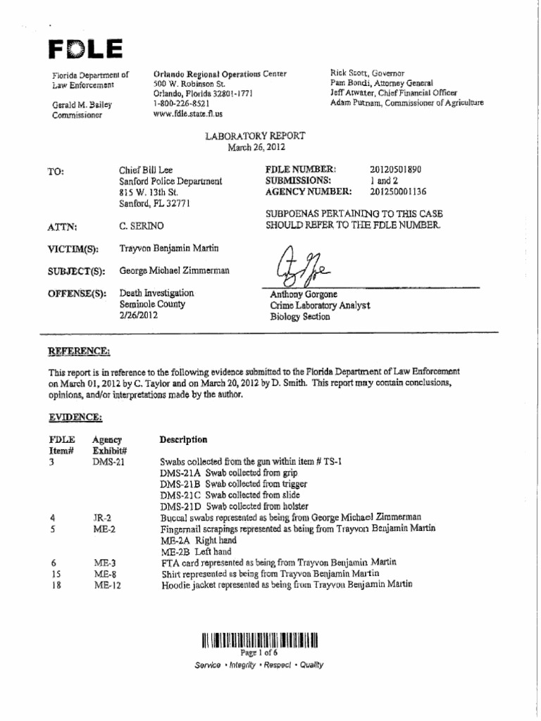 FDLE-Lab-report DFT | PDF