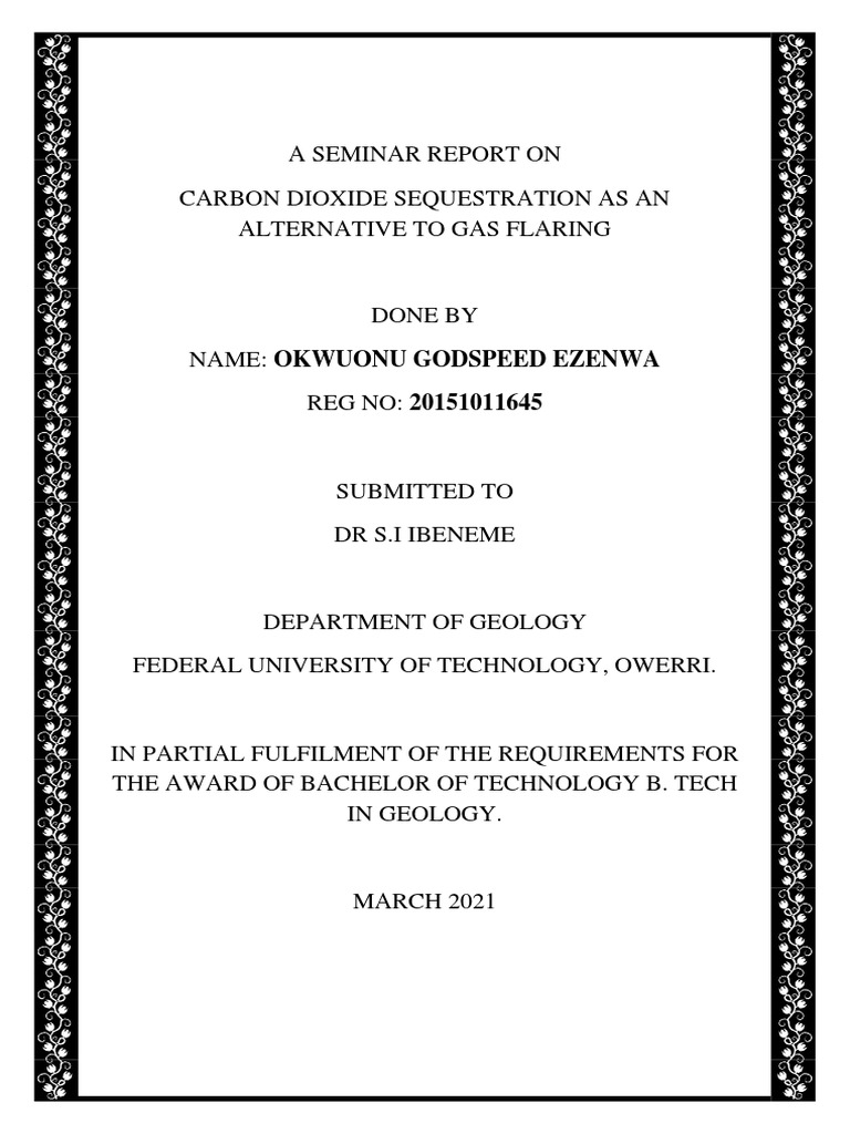 Carbon dioxide sequestration as an alternative to gas flaring Copy PDF