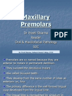 Maxillary Premolars1