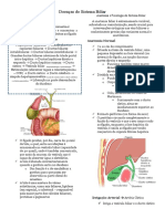 Doenças Do Sistema Biliar