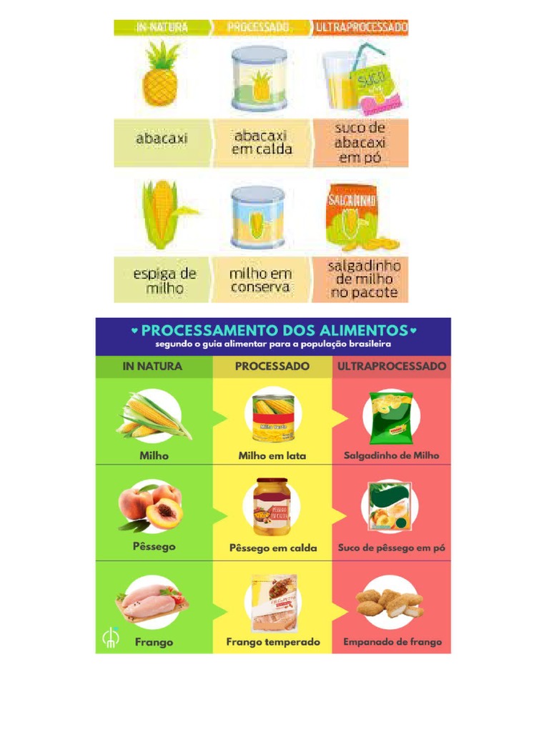 Entenda Os Ciclos Da Natura: Guia Completo Para A Verdadeira Harmonia Com A Natureza