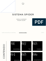 Sistema Spider Informacion