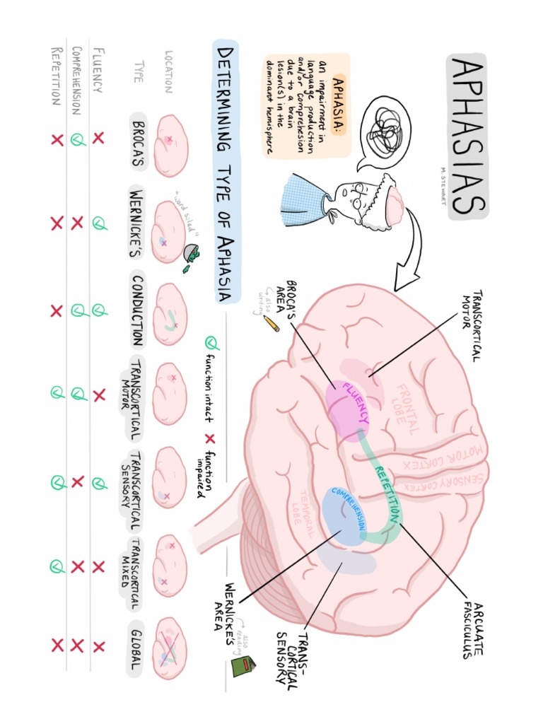 Neuro Aphasia | PDF