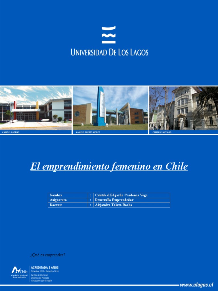 emprendimiento-femenino-pdf-iniciativa-empresarial-economias
