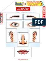 El Rostro para Primer Grado de Primaria