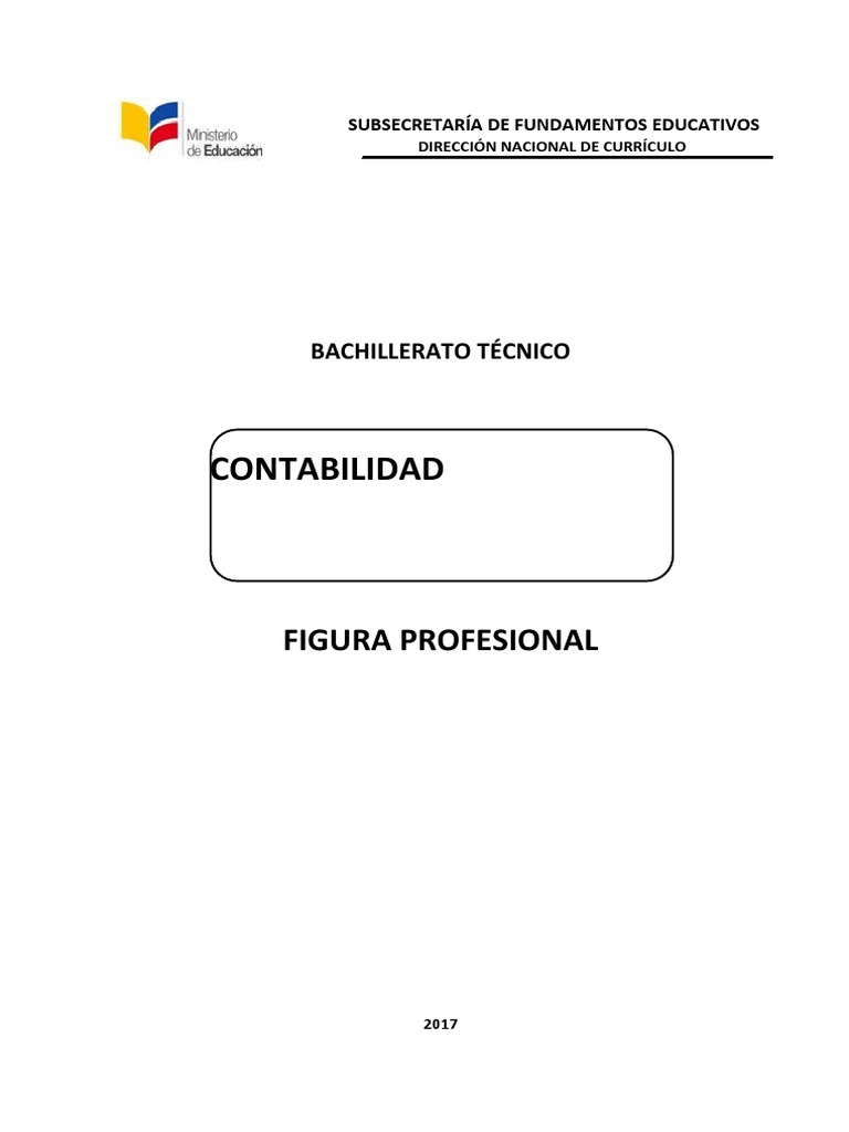 fip-contabilidad-pdf-contabilidad-estado-financiero