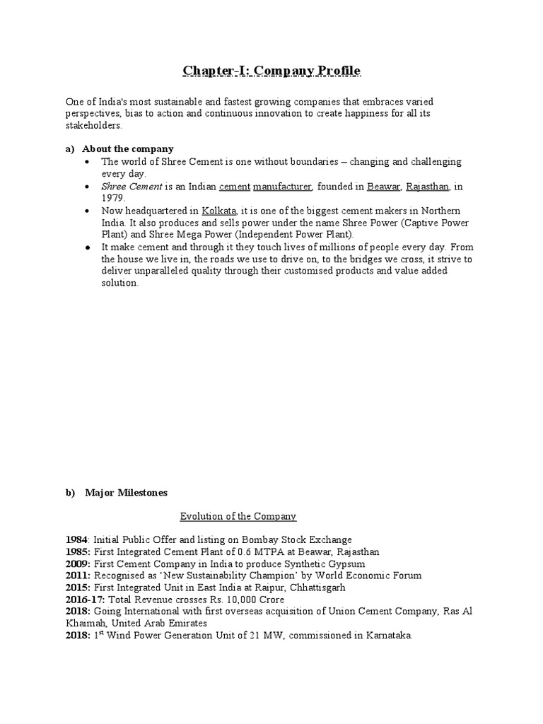 Shree Cement Project Pdf Return On Equity Equity Finance