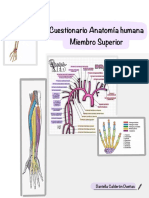 Cuestionario 1 Fase Anatomía Humana
