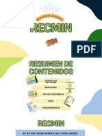 Recursos Mineros