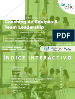 Coaching Equipos EFIC