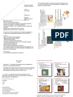 Protista Fungi y Plantas